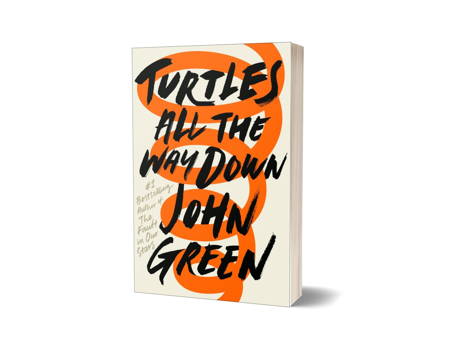 Turtles All The Way Down